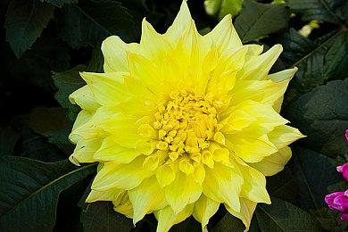 韩国类魂游戏《遗迹计划》新实机视频分享